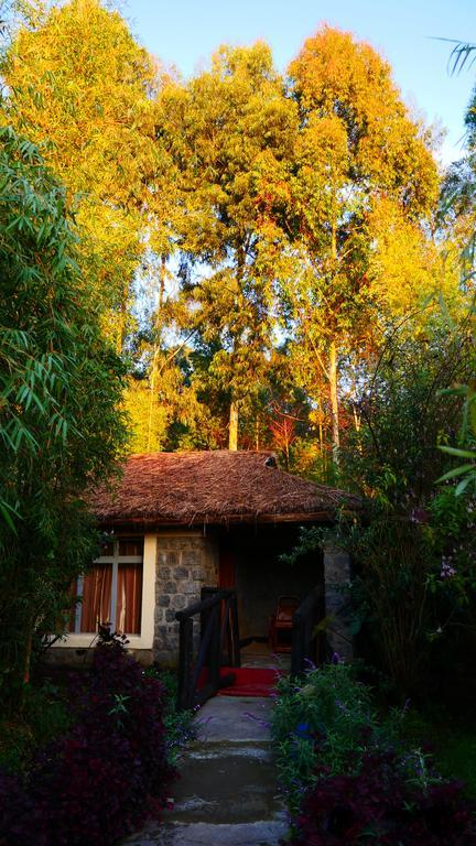 Le Bambou Gorilla Lodge Kinigi Exterior photo